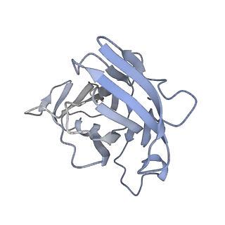 17187_8otz_XJ_v1-0
48-nm repeat of the native axonemal doublet microtubule from bovine sperm