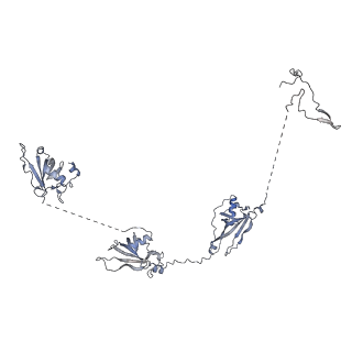 17187_8otz_X_v1-0
48-nm repeat of the native axonemal doublet microtubule from bovine sperm