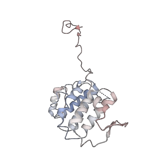 17187_8otz_YG_v1-0
48-nm repeat of the native axonemal doublet microtubule from bovine sperm
