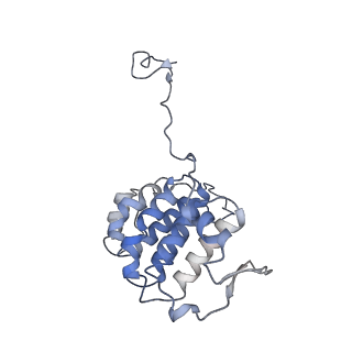 17187_8otz_YI_v1-0
48-nm repeat of the native axonemal doublet microtubule from bovine sperm