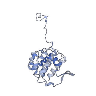 17187_8otz_YJ_v1-0
48-nm repeat of the native axonemal doublet microtubule from bovine sperm