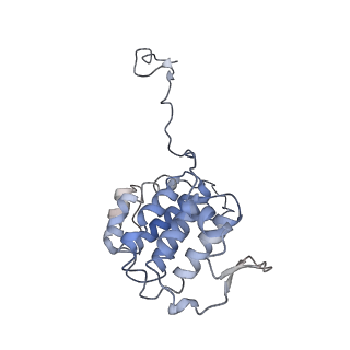 17187_8otz_YK_v1-0
48-nm repeat of the native axonemal doublet microtubule from bovine sperm