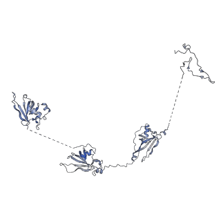17187_8otz_Y_v1-0
48-nm repeat of the native axonemal doublet microtubule from bovine sperm