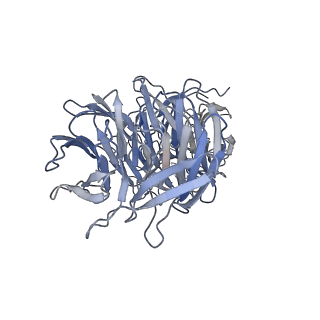 17187_8otz_e_v1-0
48-nm repeat of the native axonemal doublet microtubule from bovine sperm