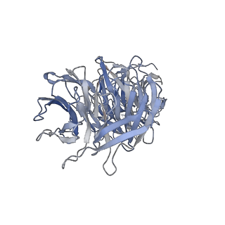 17187_8otz_g_v1-0
48-nm repeat of the native axonemal doublet microtubule from bovine sperm
