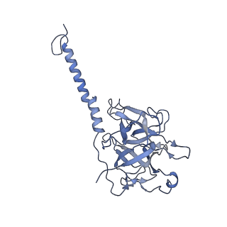 17187_8otz_j_v1-0
48-nm repeat of the native axonemal doublet microtubule from bovine sperm