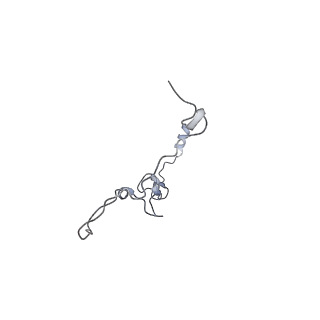 17187_8otz_ke_v1-0
48-nm repeat of the native axonemal doublet microtubule from bovine sperm