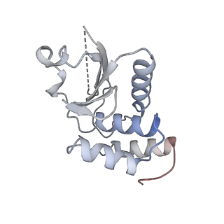 17187_8otz_l_v1-0
48-nm repeat of the native axonemal doublet microtubule from bovine sperm