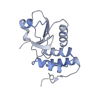 17187_8otz_m_v1-0
48-nm repeat of the native axonemal doublet microtubule from bovine sperm