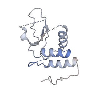 17187_8otz_n_v1-0
48-nm repeat of the native axonemal doublet microtubule from bovine sperm