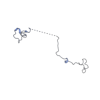 17187_8otz_r_v1-0
48-nm repeat of the native axonemal doublet microtubule from bovine sperm