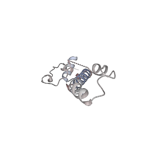 17187_8otz_u_v1-0
48-nm repeat of the native axonemal doublet microtubule from bovine sperm