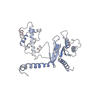 20190_6ot0_A_v1-3
Structure of human Smoothened-Gi complex