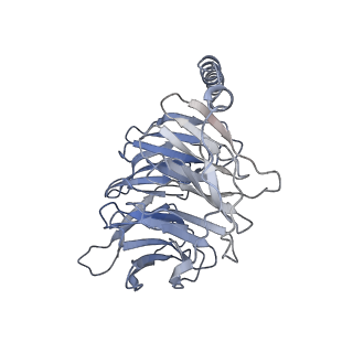 20190_6ot0_B_v1-3
Structure of human Smoothened-Gi complex