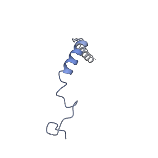 20190_6ot0_G_v1-3
Structure of human Smoothened-Gi complex