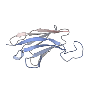 20190_6ot0_H_v1-3
Structure of human Smoothened-Gi complex