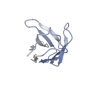 20190_6ot0_L_v1-3
Structure of human Smoothened-Gi complex