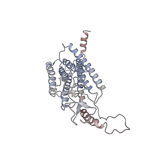 20190_6ot0_R_v1-3
Structure of human Smoothened-Gi complex