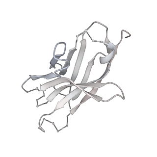 20191_6ot1_A_v2-0
Cryo-EM structure of vaccine-elicited antibody 0PV-b.01 in complex with HIV-1 Env BG505 DS-SOSIP and antibodies VRC03 and PGT122