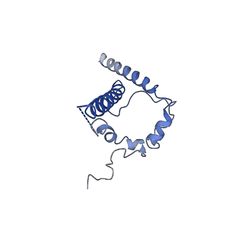 20191_6ot1_B_v1-0
Cryo-EM structure of vaccine-elicited antibody 0PV-b.01 in complex with HIV-1 Env BG505 DS-SOSIP and antibodies VRC03 and PGT122