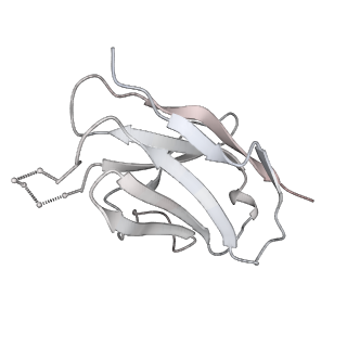 20191_6ot1_C_v1-0
Cryo-EM structure of vaccine-elicited antibody 0PV-b.01 in complex with HIV-1 Env BG505 DS-SOSIP and antibodies VRC03 and PGT122