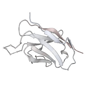 20191_6ot1_C_v2-0
Cryo-EM structure of vaccine-elicited antibody 0PV-b.01 in complex with HIV-1 Env BG505 DS-SOSIP and antibodies VRC03 and PGT122