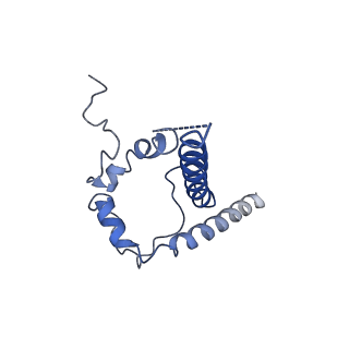 20191_6ot1_D_v1-0
Cryo-EM structure of vaccine-elicited antibody 0PV-b.01 in complex with HIV-1 Env BG505 DS-SOSIP and antibodies VRC03 and PGT122