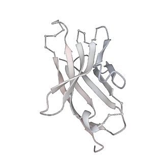 20191_6ot1_H_v1-0
Cryo-EM structure of vaccine-elicited antibody 0PV-b.01 in complex with HIV-1 Env BG505 DS-SOSIP and antibodies VRC03 and PGT122