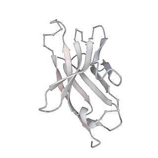 20191_6ot1_H_v2-0
Cryo-EM structure of vaccine-elicited antibody 0PV-b.01 in complex with HIV-1 Env BG505 DS-SOSIP and antibodies VRC03 and PGT122