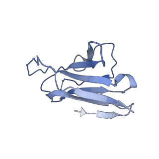 20191_6ot1_I_v1-0
Cryo-EM structure of vaccine-elicited antibody 0PV-b.01 in complex with HIV-1 Env BG505 DS-SOSIP and antibodies VRC03 and PGT122