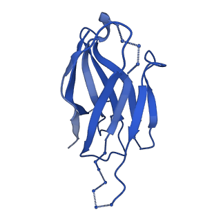 20191_6ot1_J_v1-0
Cryo-EM structure of vaccine-elicited antibody 0PV-b.01 in complex with HIV-1 Env BG505 DS-SOSIP and antibodies VRC03 and PGT122