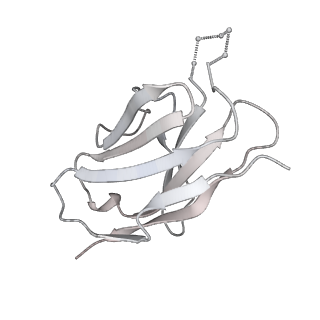 20191_6ot1_L_v1-0
Cryo-EM structure of vaccine-elicited antibody 0PV-b.01 in complex with HIV-1 Env BG505 DS-SOSIP and antibodies VRC03 and PGT122