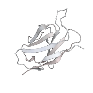 20191_6ot1_L_v2-0
Cryo-EM structure of vaccine-elicited antibody 0PV-b.01 in complex with HIV-1 Env BG505 DS-SOSIP and antibodies VRC03 and PGT122