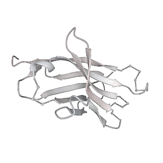 20191_6ot1_M_v1-0
Cryo-EM structure of vaccine-elicited antibody 0PV-b.01 in complex with HIV-1 Env BG505 DS-SOSIP and antibodies VRC03 and PGT122