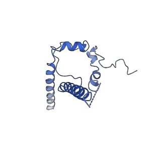 20191_6ot1_O_v1-0
Cryo-EM structure of vaccine-elicited antibody 0PV-b.01 in complex with HIV-1 Env BG505 DS-SOSIP and antibodies VRC03 and PGT122