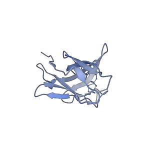 20191_6ot1_Q_v1-0
Cryo-EM structure of vaccine-elicited antibody 0PV-b.01 in complex with HIV-1 Env BG505 DS-SOSIP and antibodies VRC03 and PGT122