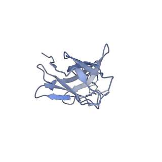 20191_6ot1_Q_v2-0
Cryo-EM structure of vaccine-elicited antibody 0PV-b.01 in complex with HIV-1 Env BG505 DS-SOSIP and antibodies VRC03 and PGT122