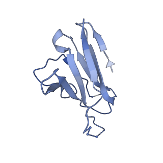 20191_6ot1_R_v1-0
Cryo-EM structure of vaccine-elicited antibody 0PV-b.01 in complex with HIV-1 Env BG505 DS-SOSIP and antibodies VRC03 and PGT122