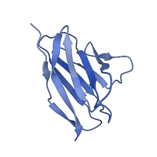 20191_6ot1_T_v1-0
Cryo-EM structure of vaccine-elicited antibody 0PV-b.01 in complex with HIV-1 Env BG505 DS-SOSIP and antibodies VRC03 and PGT122