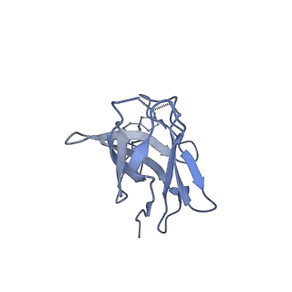 20191_6ot1_m_v1-0
Cryo-EM structure of vaccine-elicited antibody 0PV-b.01 in complex with HIV-1 Env BG505 DS-SOSIP and antibodies VRC03 and PGT122
