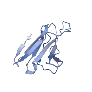 20191_6ot1_n_v1-0
Cryo-EM structure of vaccine-elicited antibody 0PV-b.01 in complex with HIV-1 Env BG505 DS-SOSIP and antibodies VRC03 and PGT122