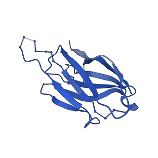 20191_6ot1_q_v1-0
Cryo-EM structure of vaccine-elicited antibody 0PV-b.01 in complex with HIV-1 Env BG505 DS-SOSIP and antibodies VRC03 and PGT122