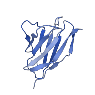 20191_6ot1_r_v1-0
Cryo-EM structure of vaccine-elicited antibody 0PV-b.01 in complex with HIV-1 Env BG505 DS-SOSIP and antibodies VRC03 and PGT122