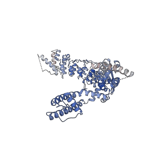 20192_6ot2_A_v1-1
Structure of the TRPV3 K169A sensitized mutant in apo form at 4.1 A resolution
