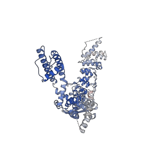 20192_6ot2_B_v1-1
Structure of the TRPV3 K169A sensitized mutant in apo form at 4.1 A resolution
