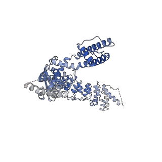20192_6ot2_C_v1-1
Structure of the TRPV3 K169A sensitized mutant in apo form at 4.1 A resolution