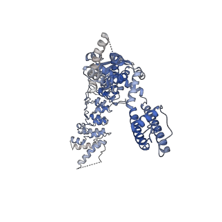 20192_6ot2_D_v1-1
Structure of the TRPV3 K169A sensitized mutant in apo form at 4.1 A resolution