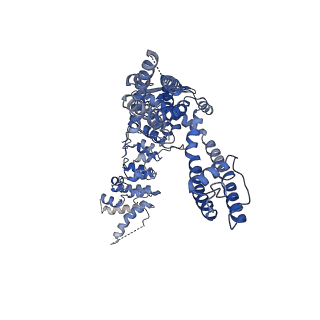 20194_6ot5_A_v1-1
Structure of the TRPV3 K169A sensitized mutant in the presence of 2-APB at 3.6 A resolution