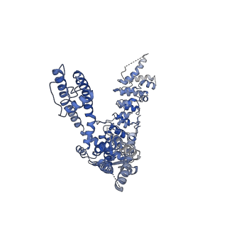 20194_6ot5_C_v1-1
Structure of the TRPV3 K169A sensitized mutant in the presence of 2-APB at 3.6 A resolution