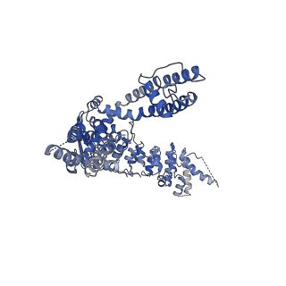 20194_6ot5_D_v1-1
Structure of the TRPV3 K169A sensitized mutant in the presence of 2-APB at 3.6 A resolution